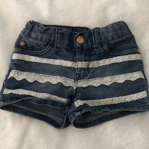 3t cat and jack shorts